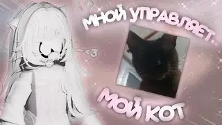 мой кот управляет мной *манипулятор он* 🐈