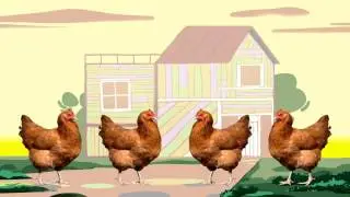 Animal Songs: 