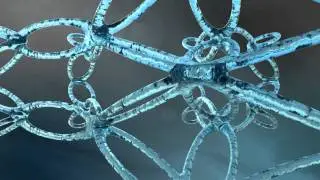 water web animation - ignitemotion.com