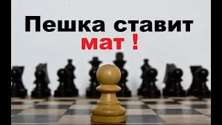 Шахматы. Пешка ставит мат за 5 ходов!