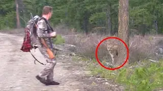 6 Mountain Lion Encounters That Will Horrify You