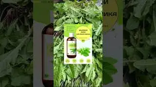 Листья одуванчика для Живого сока прямого отжима органикМИРЪ