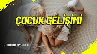 👶 Çocuk Gelişimi: Temel Bilgiler ve Aşamalar 👶