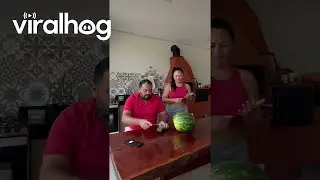 Woman Impatiently Breaks Open Watermelon || ViralHog