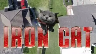 Iron Cat