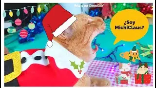 🎅¡Hago ROPA y Accesorios Navideños a mis GATOS! 🎄🐾🎅