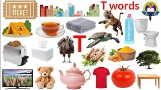 T Letter Words | Vocabulary Words With T | English Vocabular | Tiger |Turtle | Timer | Tomato | Tree