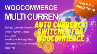 Multi Currency Options and Auto Currency Switcher For Woocommerce Wordpress Website