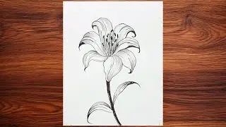 How to draw a flower | Lily Flower Easy Drawing