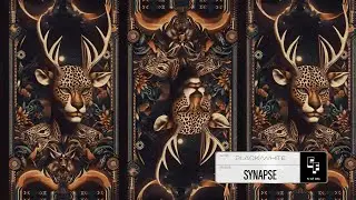Synapse by BLACK/WHITE & JollyJ Music | Festival Anthem of Euphoria | Candy Flip Records
