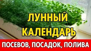 В ДЕКАБРЕ 2023. Лунный календарь огородника, садовода на декабрь 2023