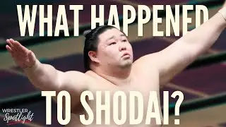 What's Happening to Shodai? | Sumo Wrestler Spotlight Ep. 9