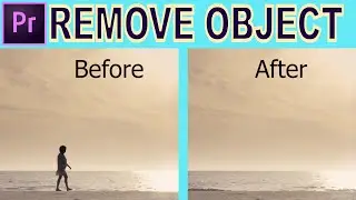 Remove object from scene - Adobe Premiere Pro Tutorial