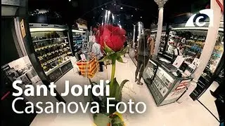 Sant Jordi en Casanova Foto en 360º