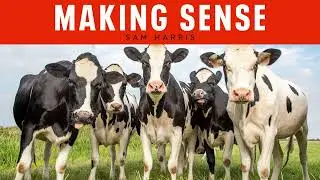 Animal Minds & Moral Truths: A Conversation with Peter Singer (Episode 