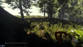 The Forest v13 b пробежка #1