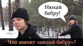 Что значит «нюхай бебру»? Что такое бебра?