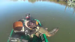 MAN FIGHT BIG CATFISH FROM BOAT by CATFISH WORLD