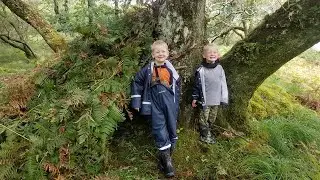 Survival Camping in Primitive Shelters & Coastal Foraging (Scottish Highlands)