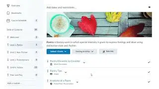Add External Content to a Course | Instructor