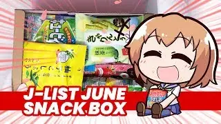 Ramen Flavored Cheetos, Melon Soda Potato Chips, and More in the June 2018 J-List Snack DX Box!