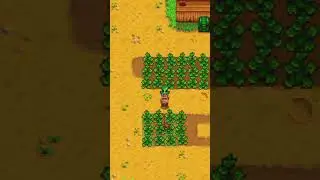 JOJA или КЛУБ в Stardew Valley 1.6  #stardew_valley #sw