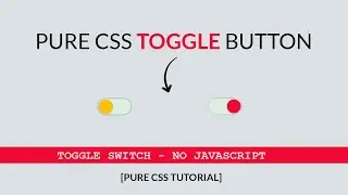 How To Make Toggle Button With Pure CSS | CSS Checkboxes | DesignTorch