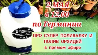 Полив орхидей.Как я быстро поливаю много ОРХИДЕЙ. Аккумуляторный ранцевый обрыскиватель.