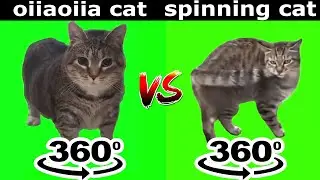 OIIAOIIA CAT vs Spinning Cat Meme 360º