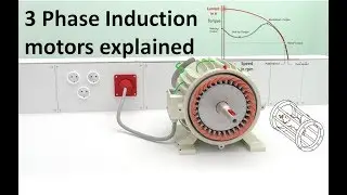 How does a 3 Phase Induction Motor work? - Technical animation