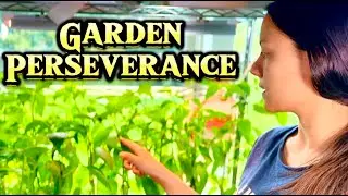 Garden Self-Sufficiency Perseverance