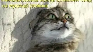 Звезда в шоке от подиумов.wmv