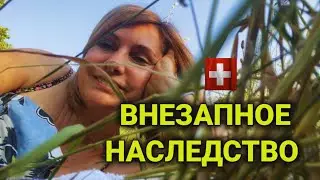 Подарок с небес | разница менталитета