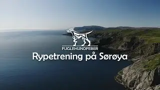 Rypetrening på Sørøya med masse UTROLIGE situasjoner - Fuglehundfeber Ep10