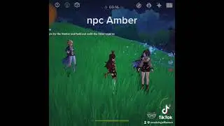 npc Amber works