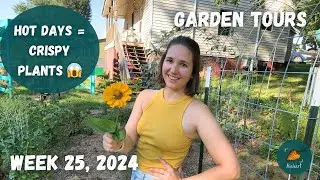 I might actually have to water my garden.... | Garden Tour WEEK 25, 2024