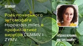 Роль почвенного энтомофага Hypoaspis miles в профилактике вирусов