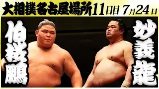 大相撲　伯桜鵬ー妙義龍　＜令和６年名古屋場所・11日目＞SUMO