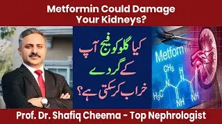 Metformin/Glucophage Could Damage Your Kidneys?