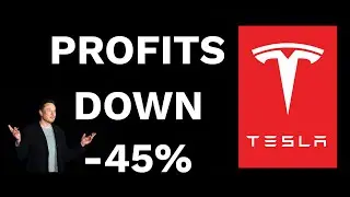 Q2 TESLA Earnings CRASHED the Stock - TSLA Analysis