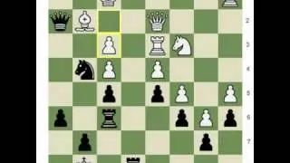 Chess.com - The 10 Best Moves of All Time: #6