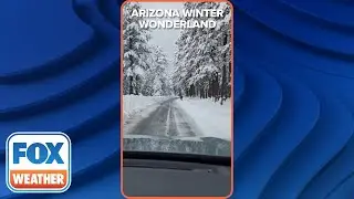 Beautiful Snowy Drive in Flagstaff, Arizona