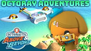 Octonauts: Above & Beyond - Octoray Adventures 🛩️ 🏝️ | Compilation | @Octonauts​