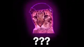 Cat in headphones 🐈🎧 with Tik Toka Flexit in different places. You gotta see it