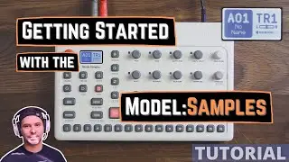 Model:Samples QuickStart Guide