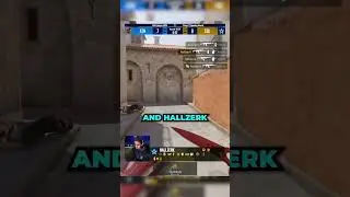 Hallzerk LEGENDARY 1v5