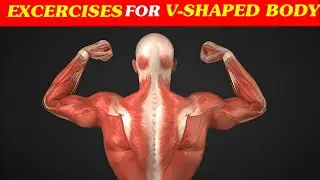 Ultimate Guide to Getting a V-Shaped Body:  Exercises For V-Shaped Body ||