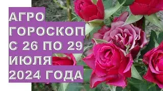 Агрогороскоп с 26 по 29 июля 2024 года. Agrohoroscope from July 26 to July 29, 2024