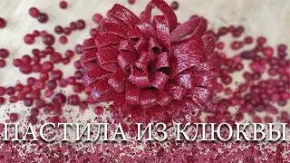 ПАСТИЛА ИЗ КЛЮКВЫ