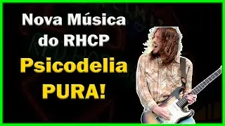 Músicas Top - (RHCP - Poster Child) Análise, Reação [Funk, Soul, Hip-hop, Psicodélico]